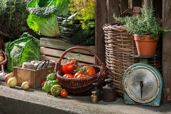 Où participer à un festival de lanternes en Thaïlande : lieux et dates recommandés ?